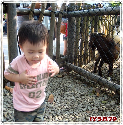 怕羊.jpg 怕羊.jpg