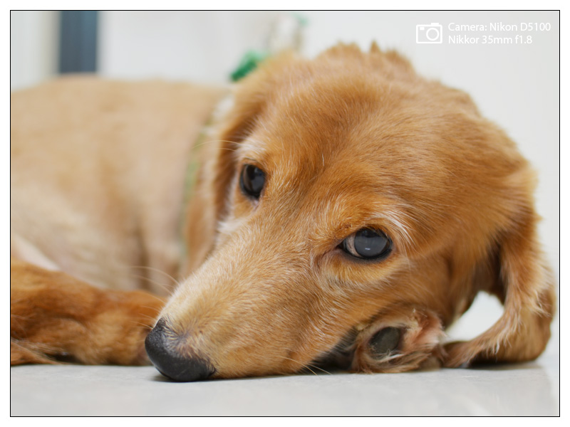 nikon_1000928_1.jpg nikon_1000928_1.jpg