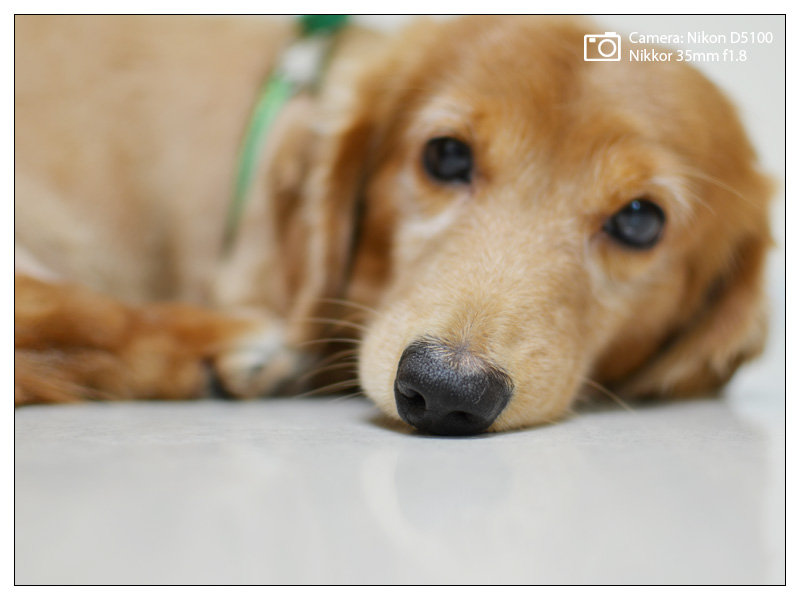 nikon_1000928_2.jpg nikon_1000928_2.jpg