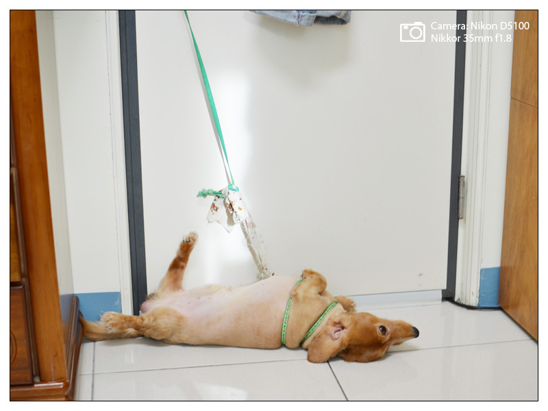 nikon_1000928_3.jpg nikon_1000928_3.jpg