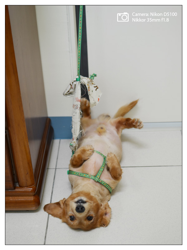 nikon_1000928_4.jpg nikon_1000928_4.jpg