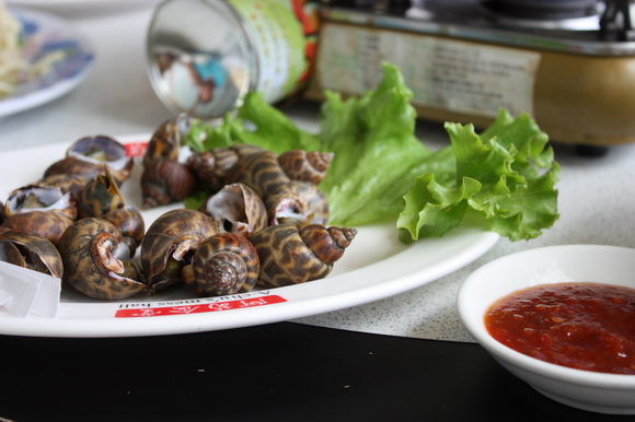 IMG_4223.JPG IMG_4223.JPG