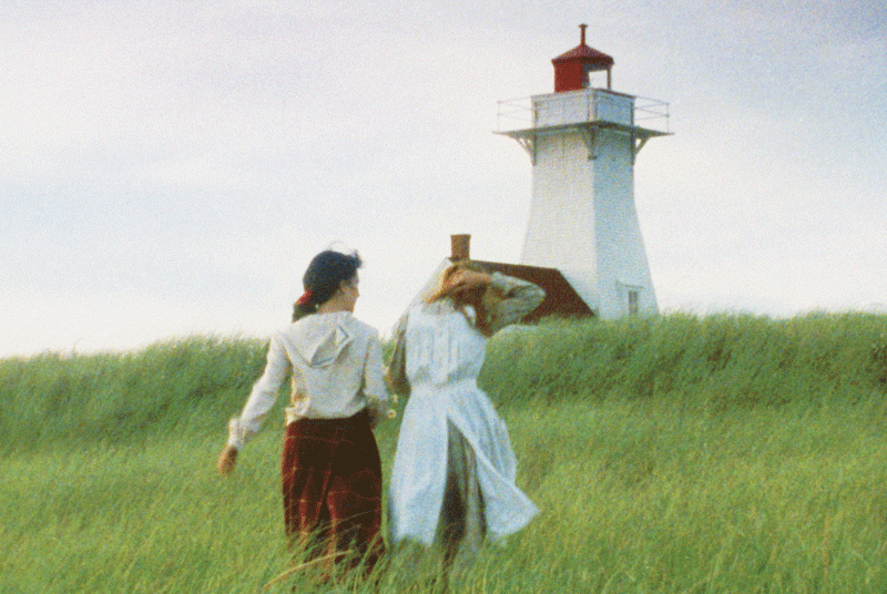 dianaanneelighthouse.gif dianaanneelighthouse.gif