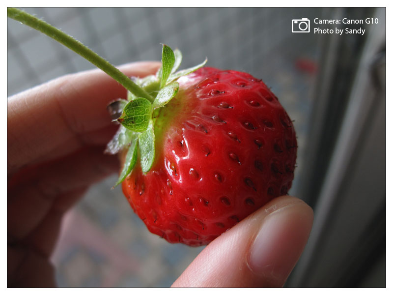 2011_02_20_2.jpg 2011_02_20_2.jpg