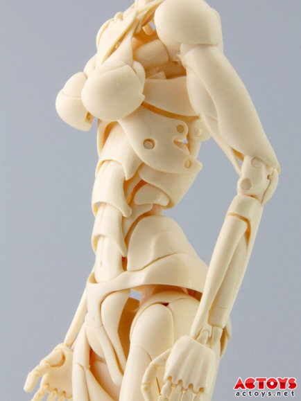 专为动漫专业设计、学习,制作的超可动素体! 其