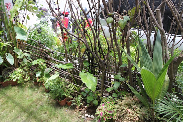IMG_7304 IMG_7304