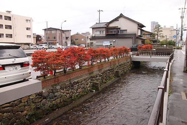 IMG_0240 IMG_0240