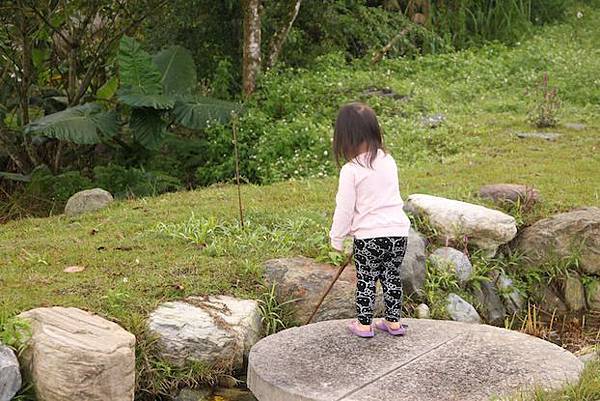 IMG_2037 IMG_2037