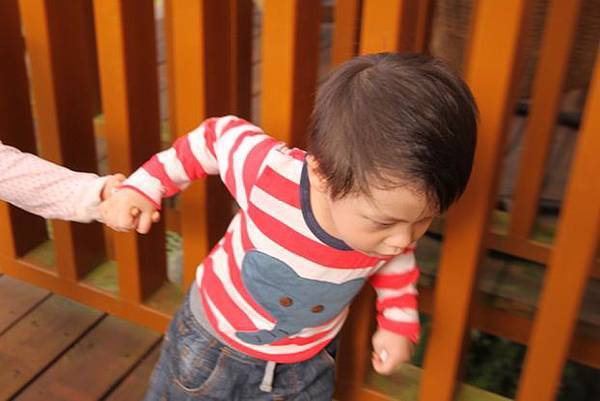 IMG_2208 IMG_2208