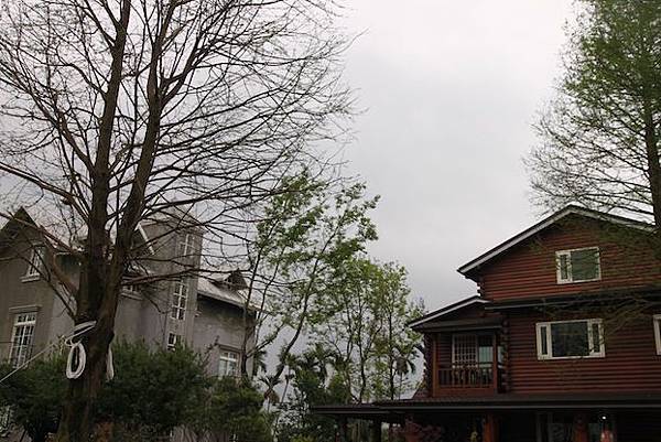 IMG_4770 IMG_4770