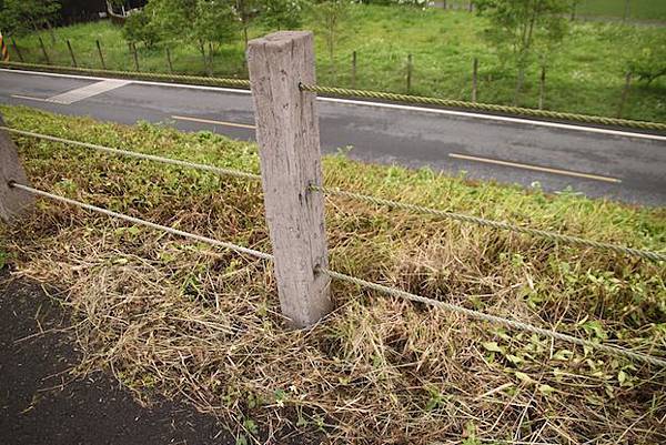 IMG_4820 IMG_4820