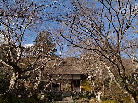 常寂光寺-1 常寂光寺-1