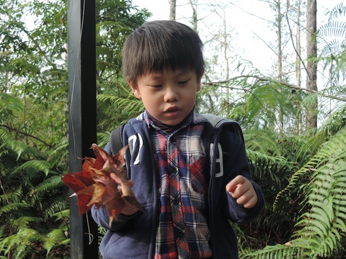 DSCN6136 DSCN6136