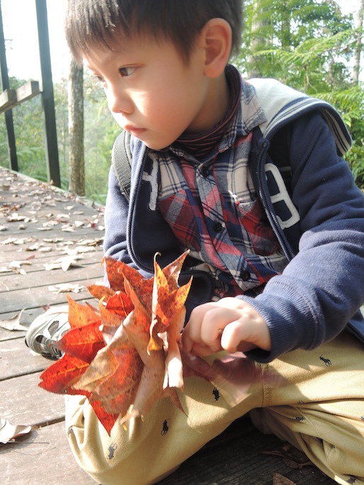 DSCN6149 DSCN6149