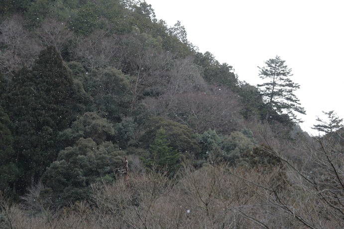 IMG_0308 IMG_0308