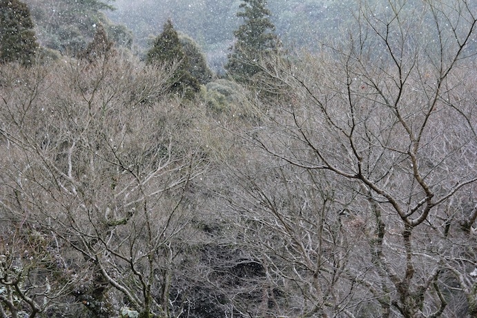 IMG_0334 IMG_0334