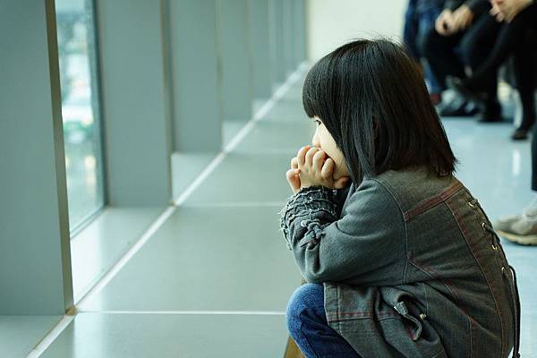 DSC01483 (800x533) DSC01483 (800x533)