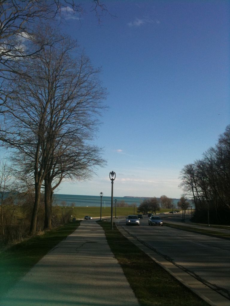 Picture 337.jpg Picture 337.jpg