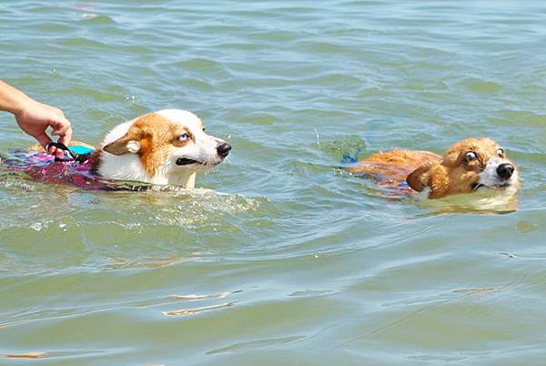 DSC_0110 DSC_0110
