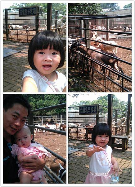 拼图2012_09_08_01_43_17.jpg 拼图2012_09_08_01_43_17.jpg