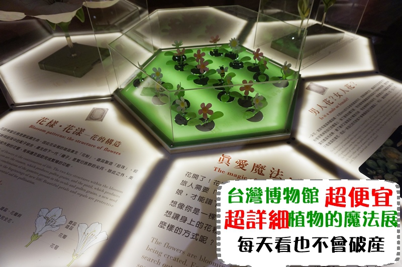 台北│比報紙還便宜的展覽 植物的魔法 小朋友愛死但我真的是生物呆瓜 @ 嗯嗯。 旅遊X莉莉嗯X感動 :: 痞客邦 PIXNET ::