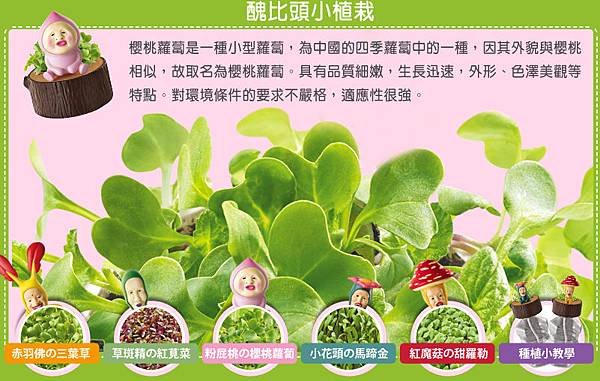 粉屁桃的櫻桃蘿蔔 粉屁桃的櫻桃蘿蔔