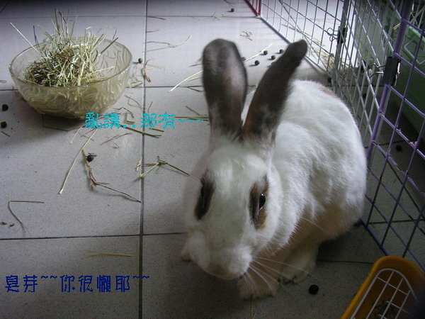 P1010046_調整大小.jpg P1010046_調整大小.jpg