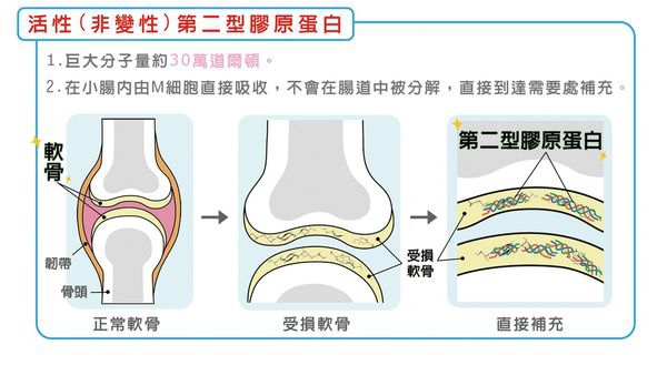 試用