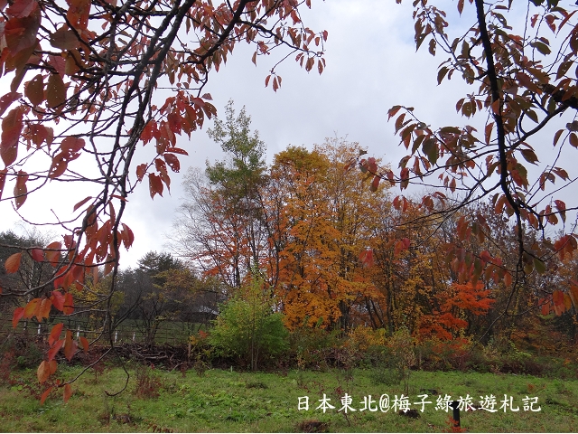 aDSC03358 aDSC03358