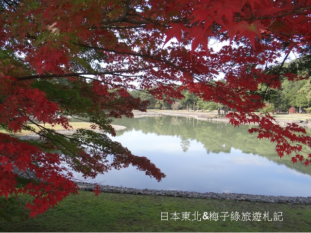 aDSC03815 aDSC03815