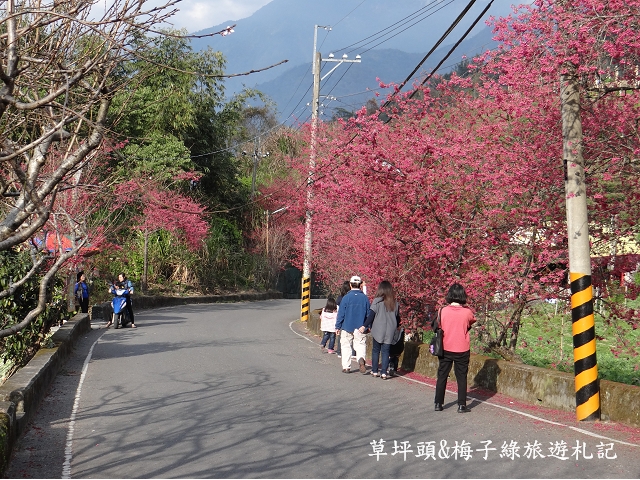 cDSC07001 cDSC07001