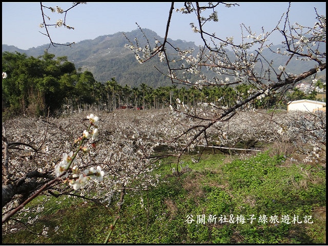 aDSC00558 aDSC00558