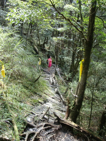 DSC02686_調整大小.JPG DSC02686_調整大小.JPG