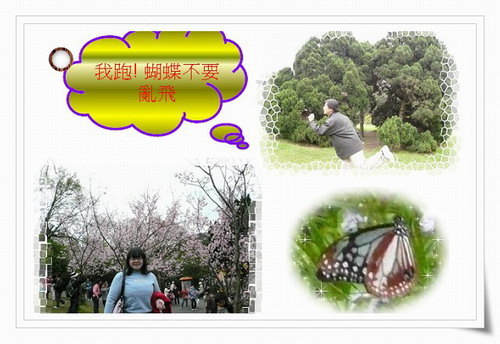 蝴蝶不要跑.jpg 蝴蝶不要跑.jpg