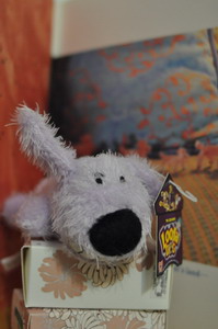 DSC_0898.JPG DSC_0898.JPG