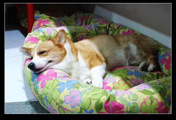 DSC04604.JPG DSC04604.JPG