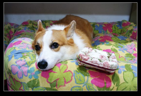 DSC04623.JPG DSC04623.JPG