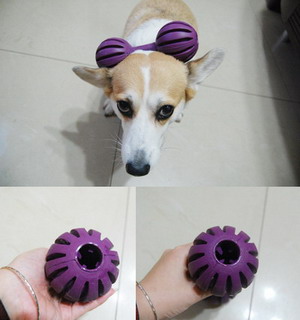 PRENIER 搖擺啞鈴.jpg PRENIER 搖擺啞鈴.jpg