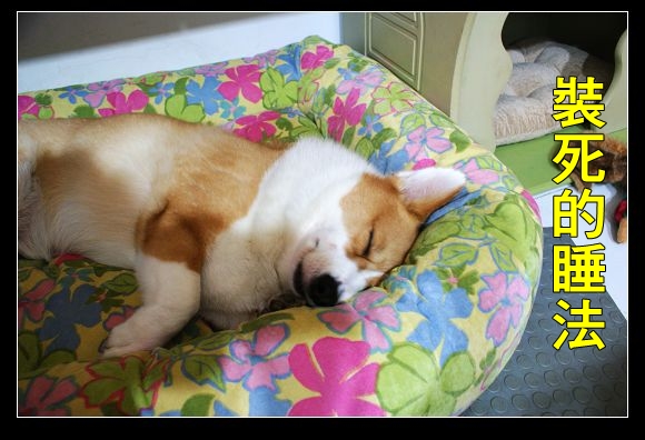 DSC04641.JPG DSC04641.JPG