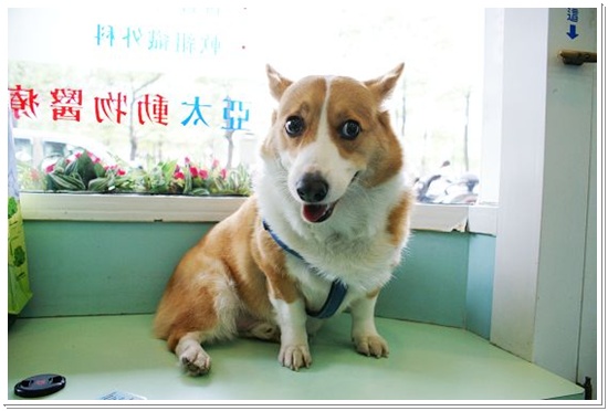 DSC01176.JPG DSC01176.JPG