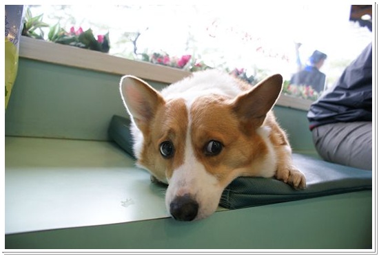 DSC01180.JPG DSC01180.JPG