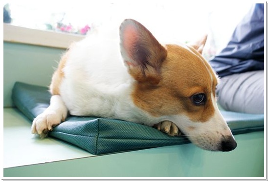 DSC01181.JPG DSC01181.JPG