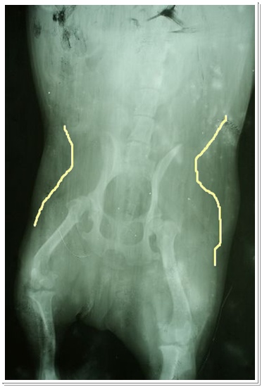 DSC01183.JPG DSC01183.JPG