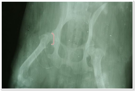 DSC01184.JPG DSC01184.JPG