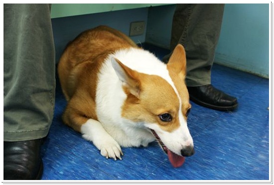 DSC01188.JPG DSC01188.JPG