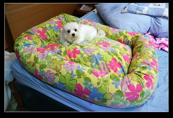 DSC04554.JPG DSC04554.JPG