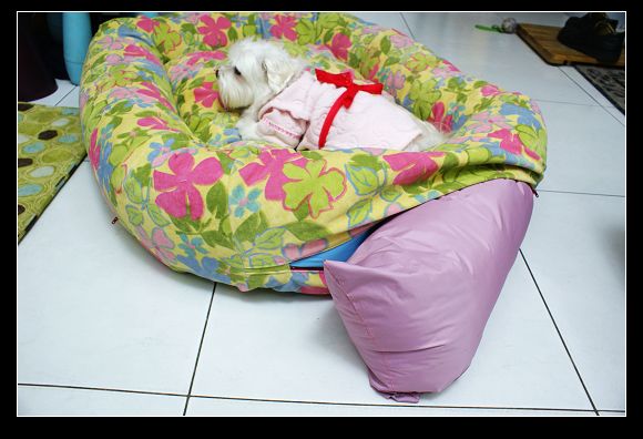 DSC04765.JPG DSC04765.JPG