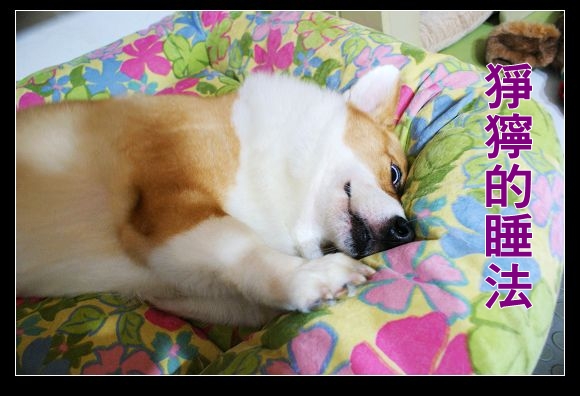 DSC04637.JPG DSC04637.JPG