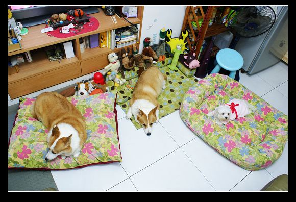 DSC04752.JPG DSC04752.JPG