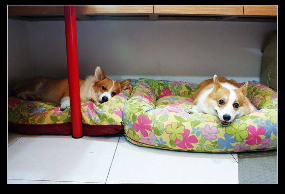 DSC04563.JPG DSC04563.JPG